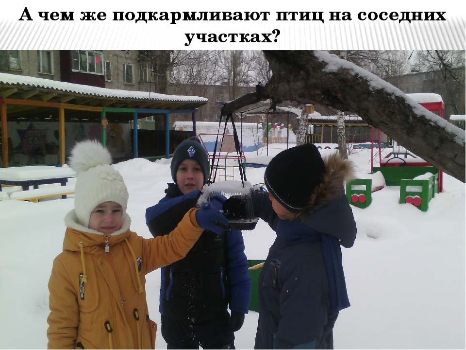 Проект в подготовительной группе "Птицы - наши друзья"