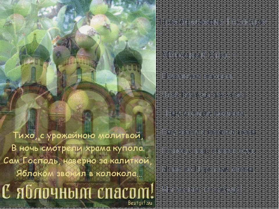 Презентация на тему "Яблочный спас"