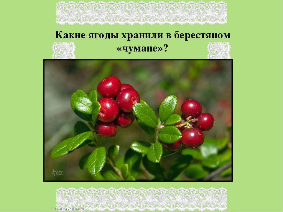 Презентация для детей старшего дошкольного возраста "Традиционная кухня коми народа"