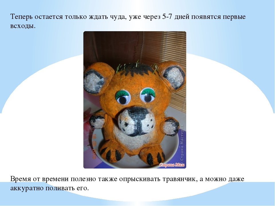 Презентация по рисованию на тему: "Экологическая игрушка - травянчик"