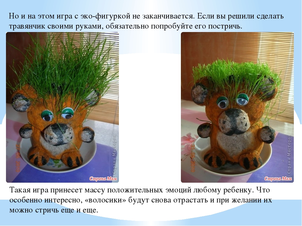 Презентация по рисованию на тему: "Экологическая игрушка - травянчик"
