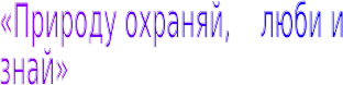 Shape1