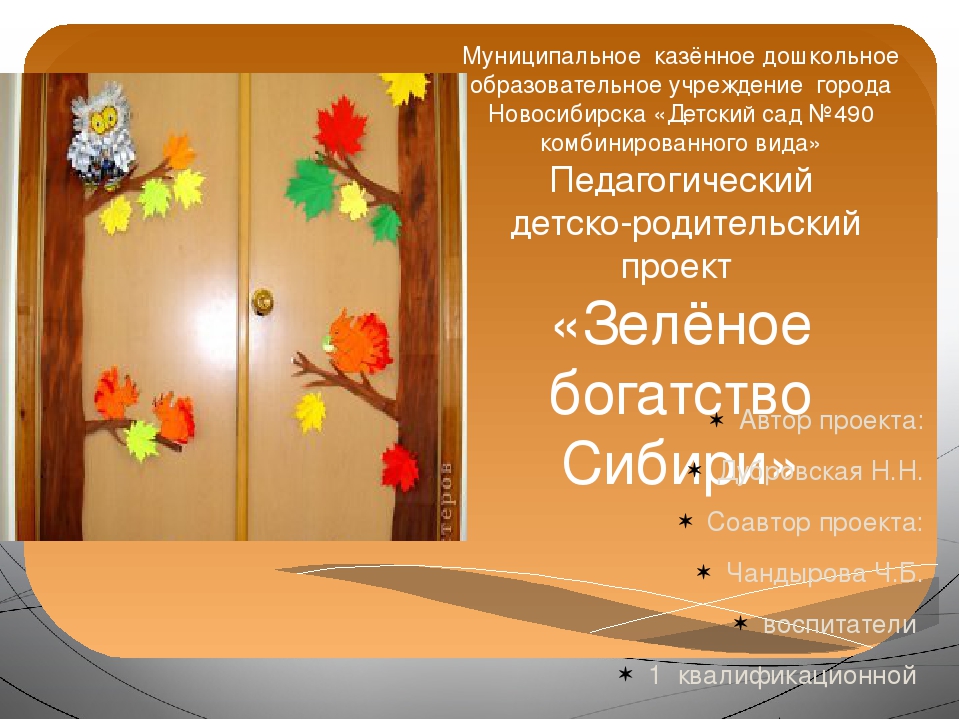 Презентация проекта "Зелёное богатство Сибири".