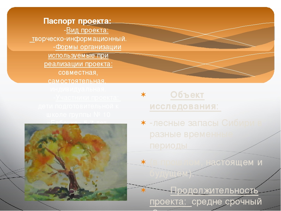 Презентация проекта "Зелёное богатство Сибири".