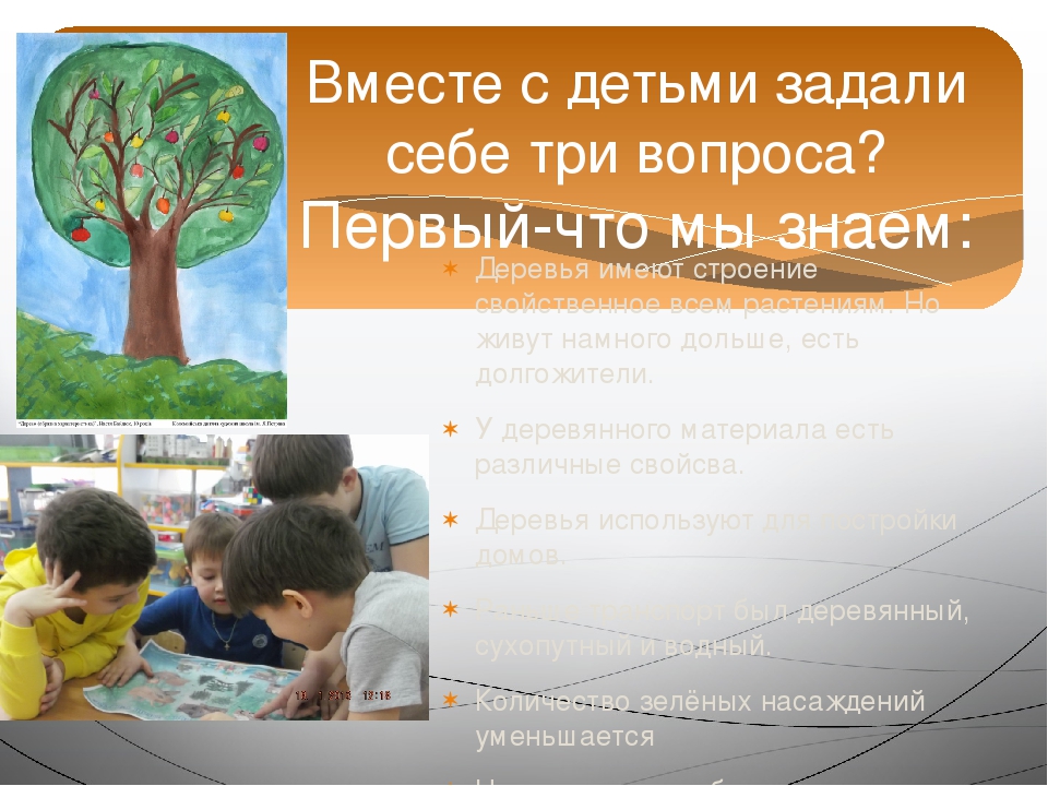 Презентация проекта "Зелёное богатство Сибири".