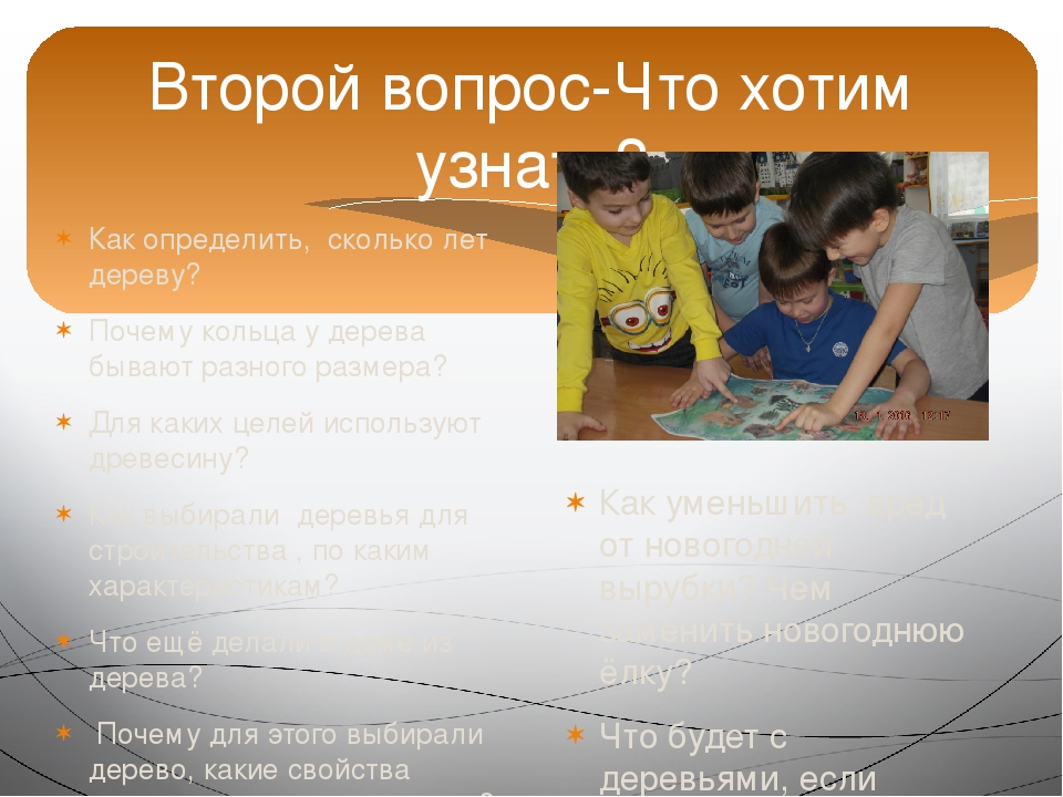 Презентация проекта "Зелёное богатство Сибири".