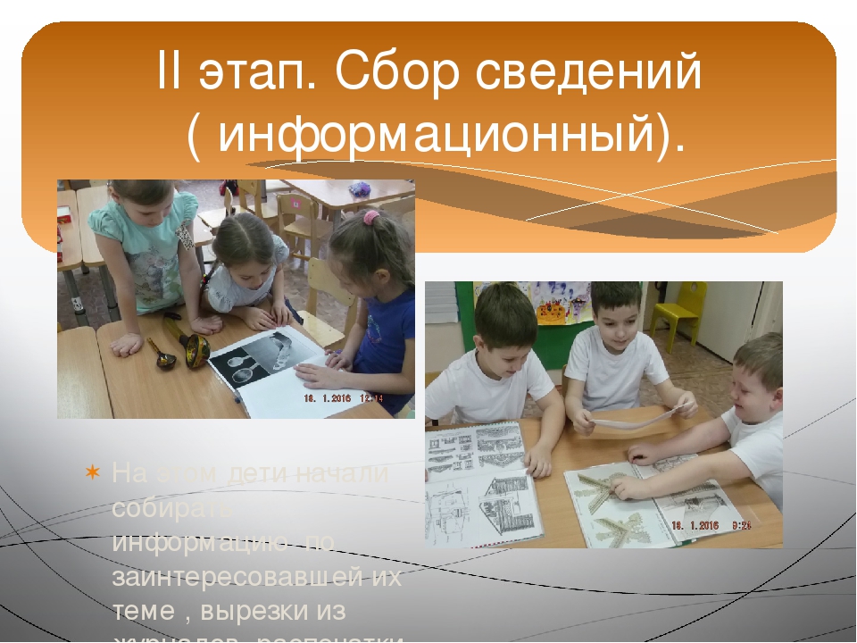 Презентация проекта "Зелёное богатство Сибири".