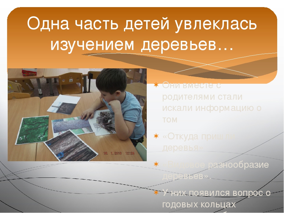 Презентация проекта "Зелёное богатство Сибири".