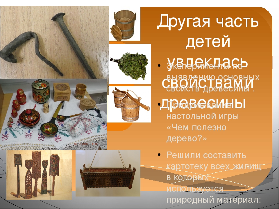 Презентация проекта "Зелёное богатство Сибири".