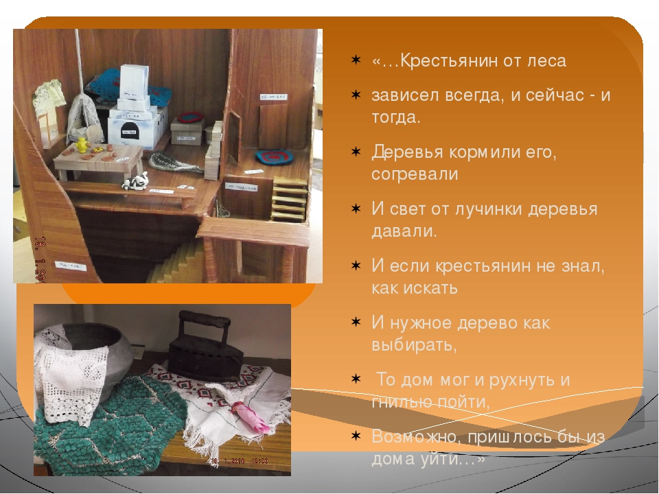 Презентация проекта "Зелёное богатство Сибири".