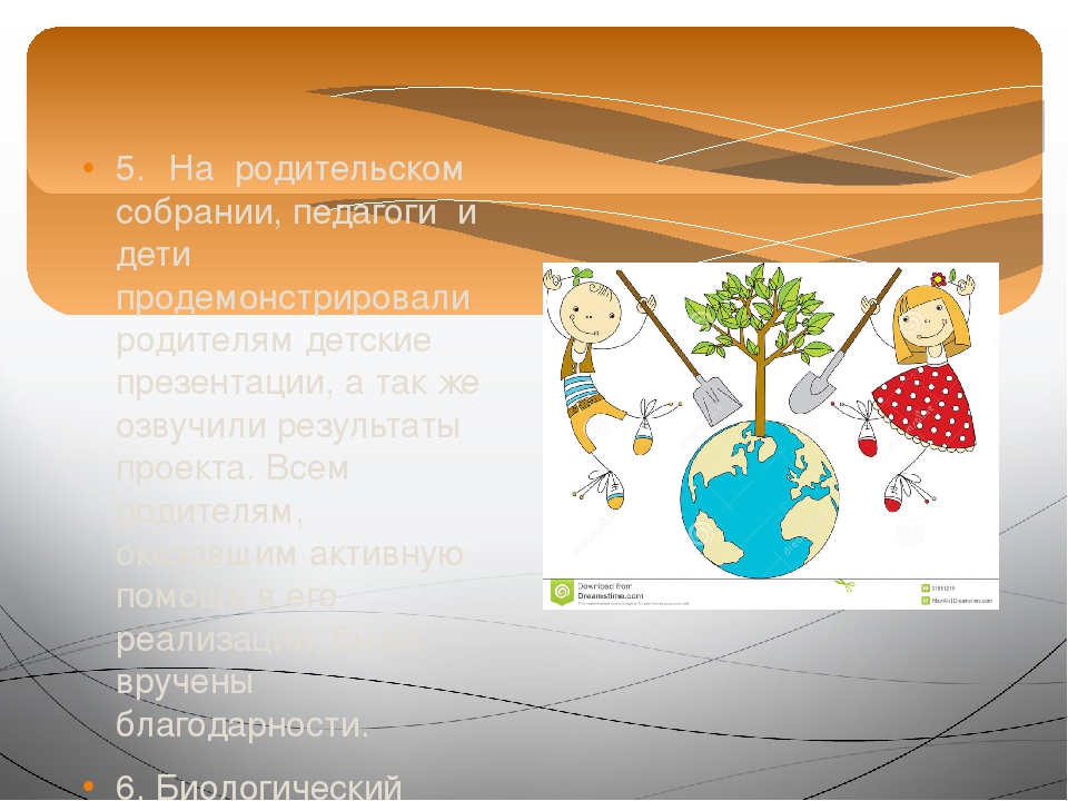 Презентация проекта "Зелёное богатство Сибири".