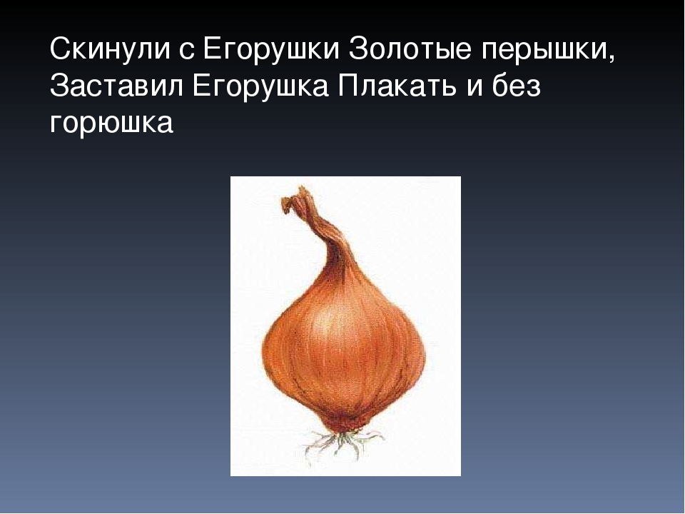 Презентация Загадки про овощи