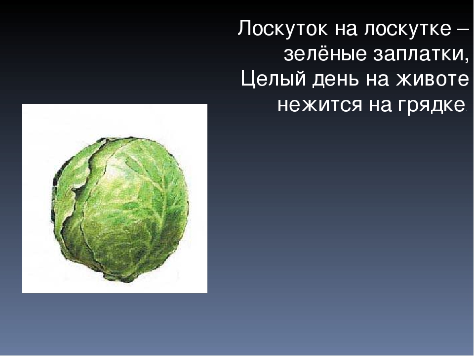 Презентация Загадки про овощи