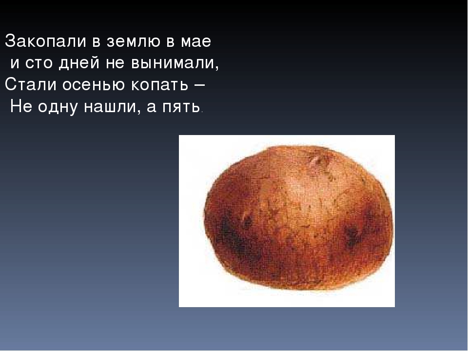 Презентация Загадки про овощи