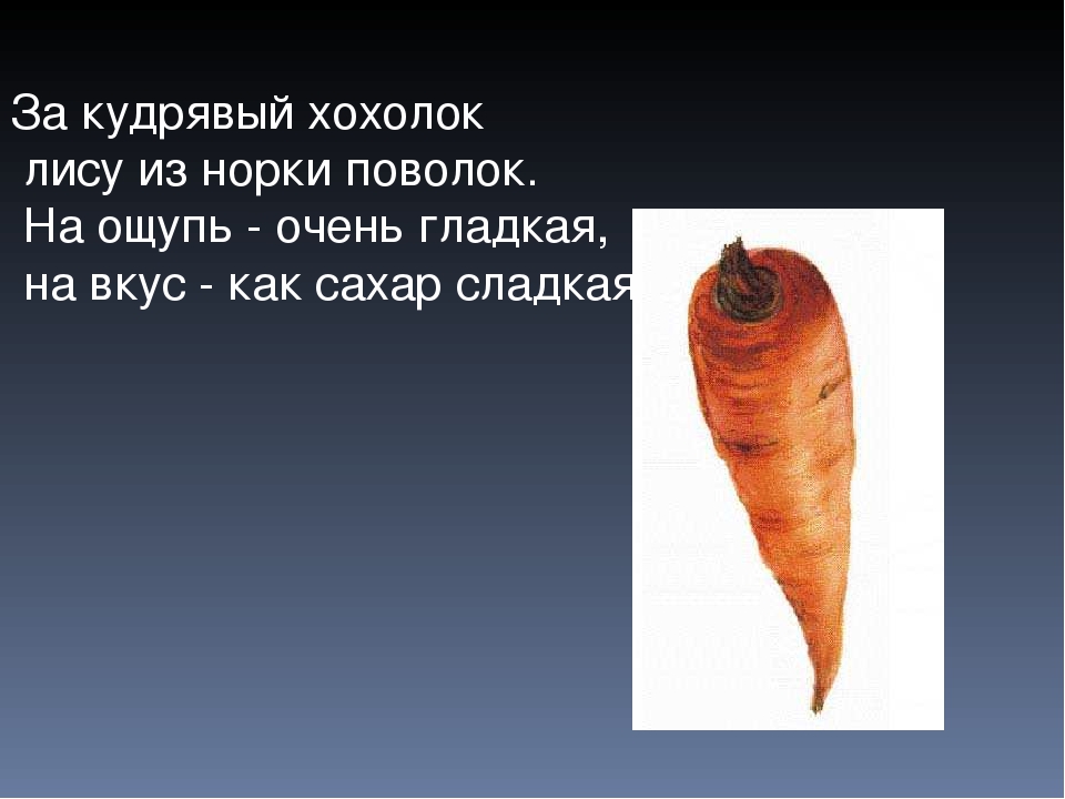 Презентация Загадки про овощи