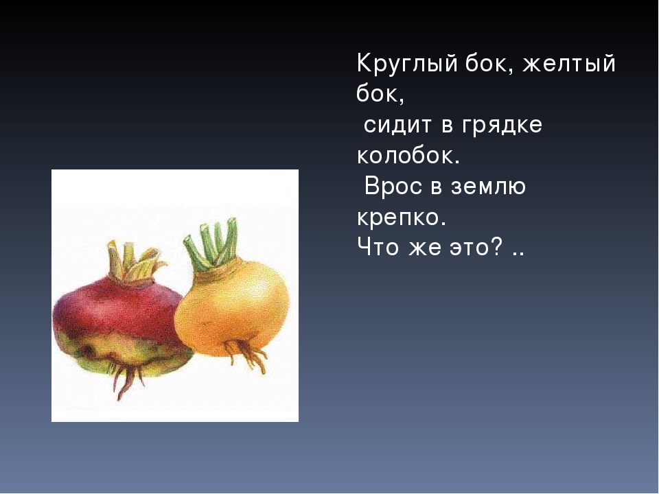 Презентация Загадки про овощи