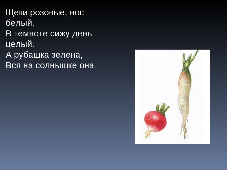 Презентация Загадки про овощи