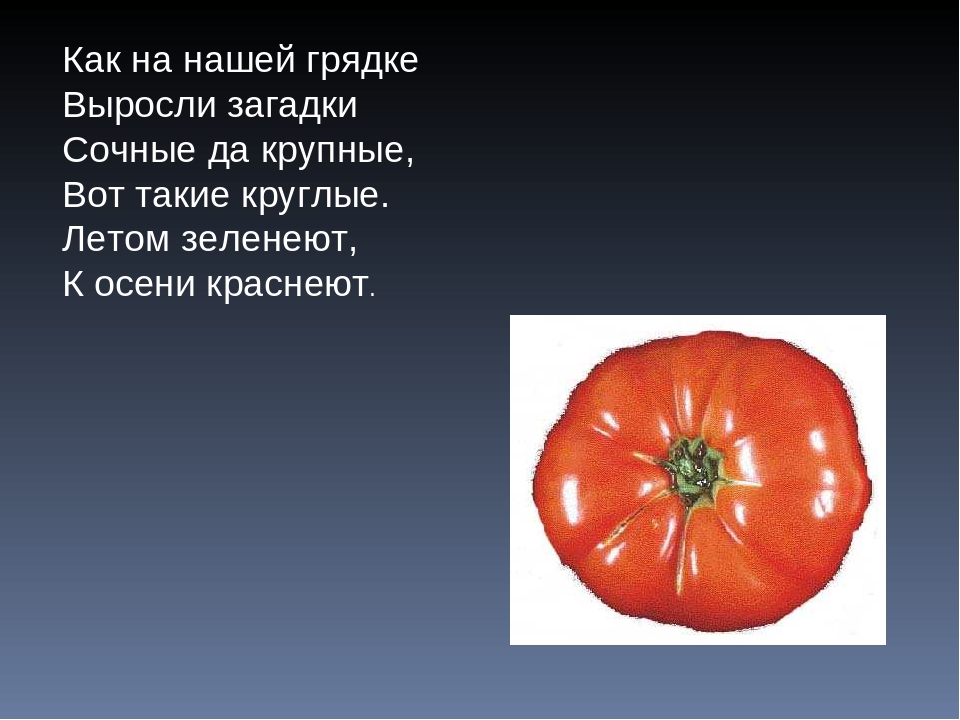 Презентация Загадки про овощи