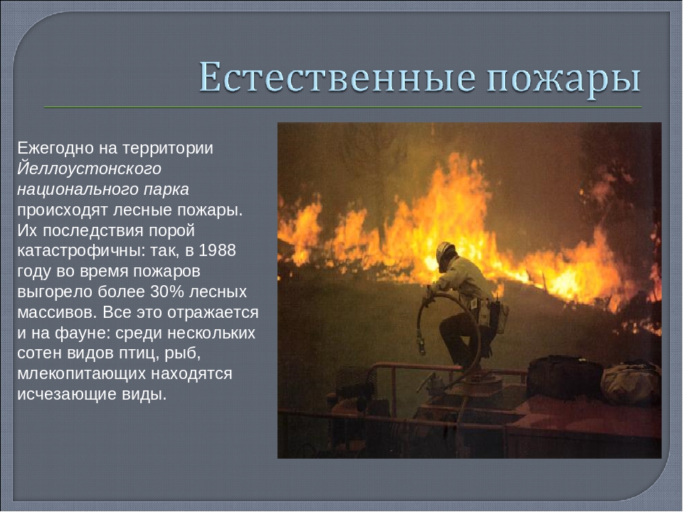 Презентация Программа юного рейнджера
