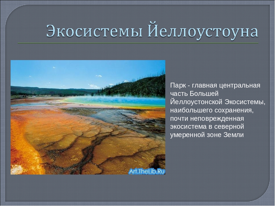 Презентация Программа юного рейнджера