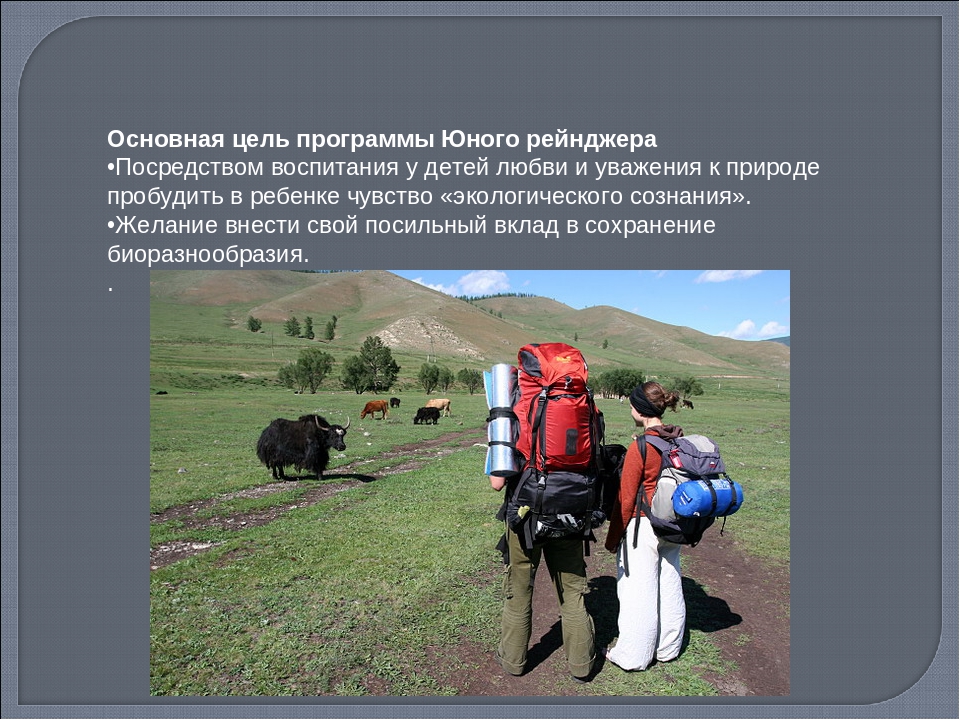 Презентация Программа юного рейнджера