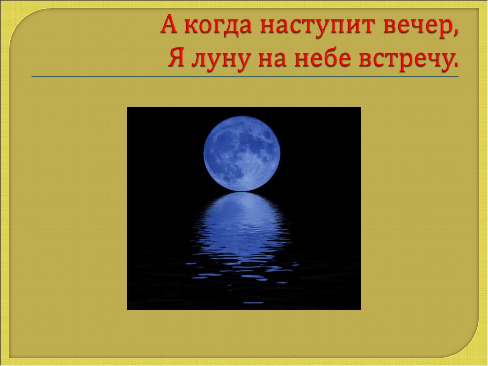Презентация Что бывает круглым