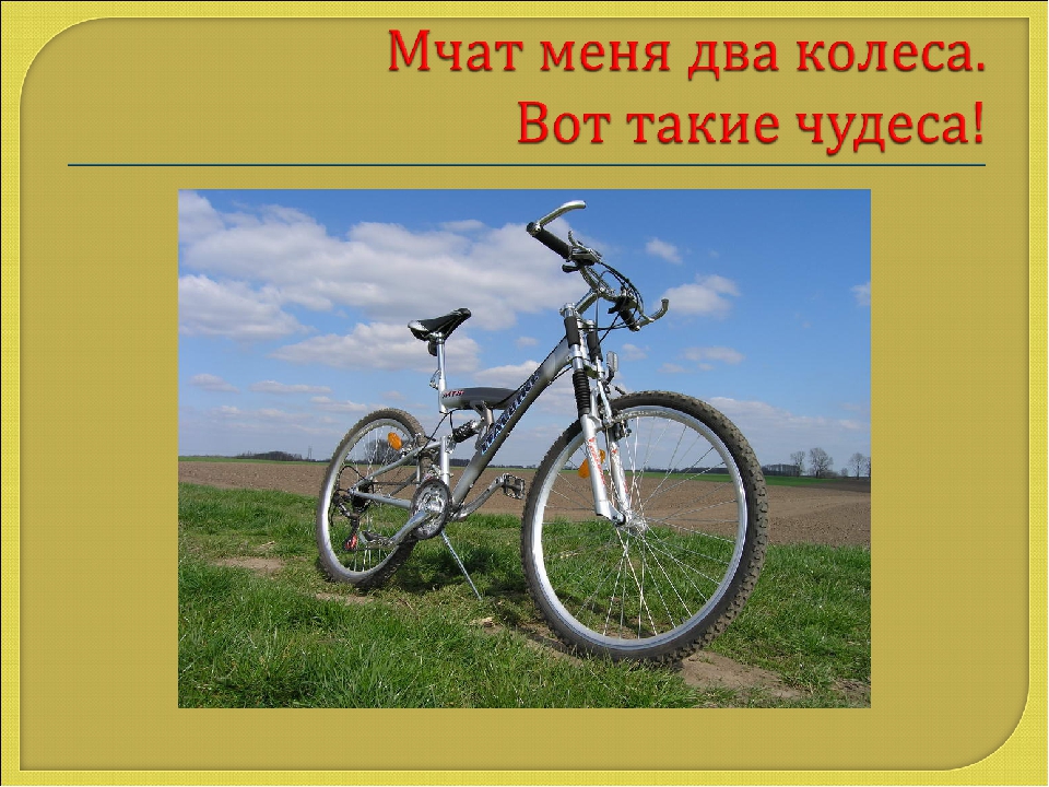 Презентация Что бывает круглым