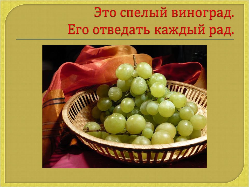 Презентация Что бывает круглым