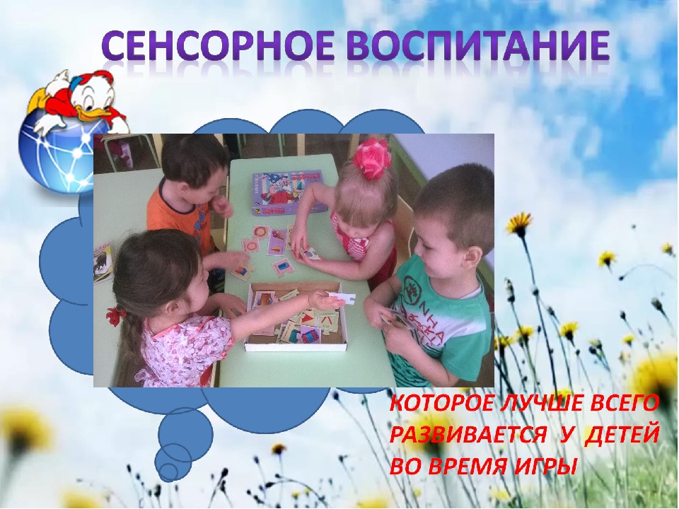 Презентация "Сенсорное развитие детей младшего дошкольного возраста"