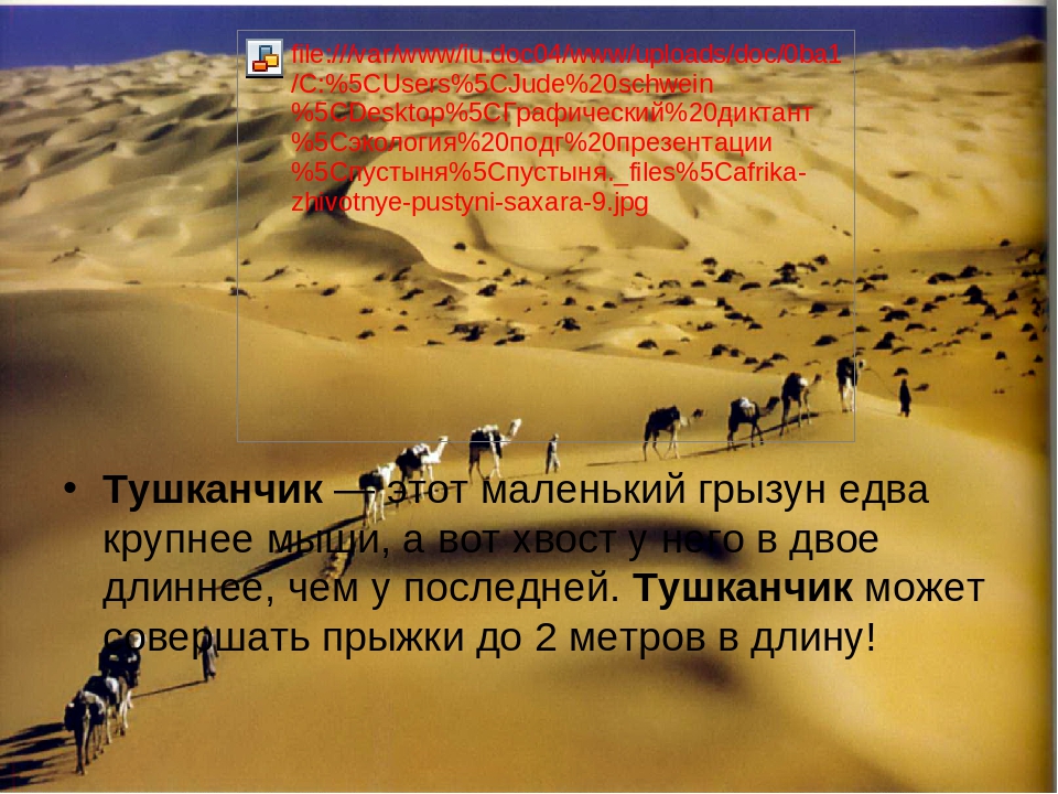 Презентация по познавательному развитию на тему "Пустыня" (подготовительная группа)