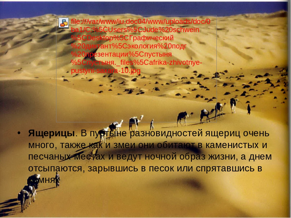 Презентация по познавательному развитию на тему "Пустыня" (подготовительная группа)
