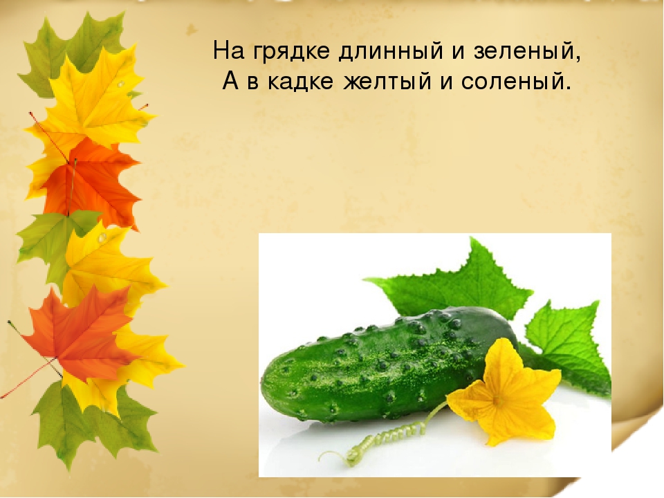Ознакомление с природой "Что нам осень принесла"