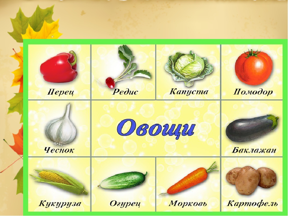 Ознакомление с природой "Что нам осень принесла"