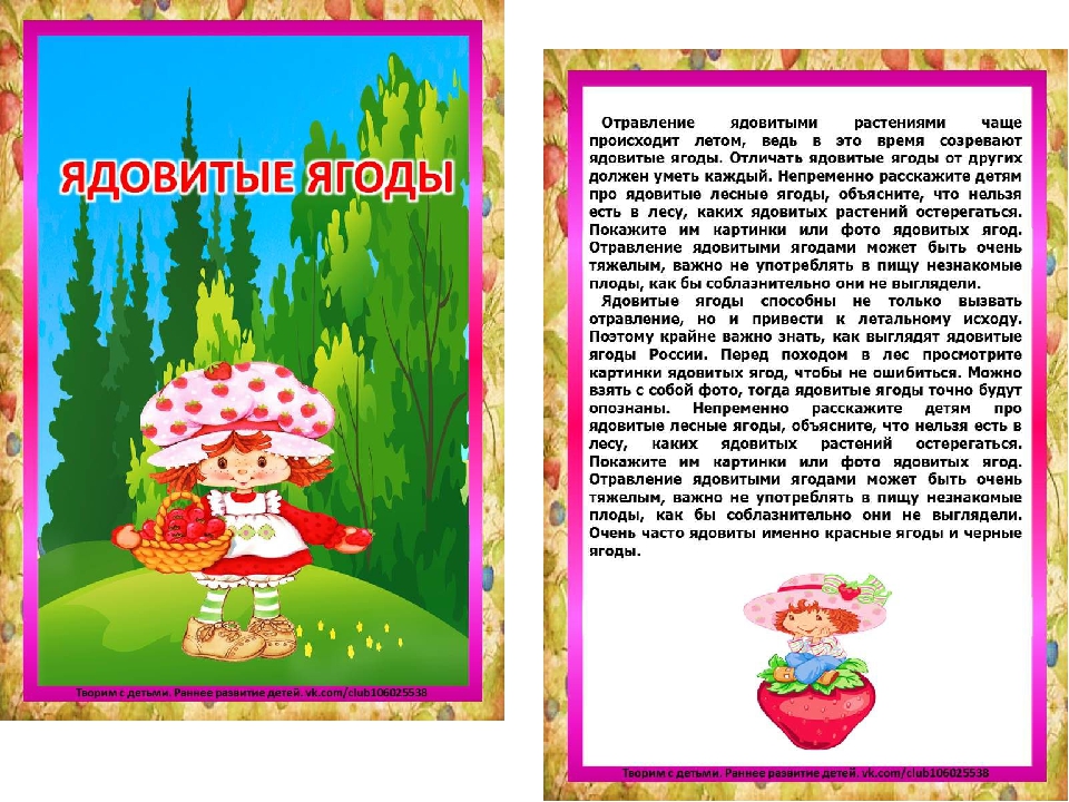 Презентация на тему "Ядовитые ягоды"