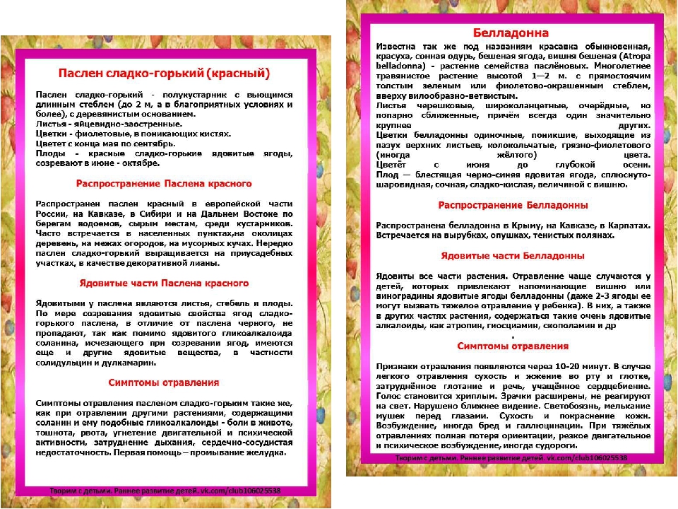 Презентация на тему "Ядовитые ягоды"