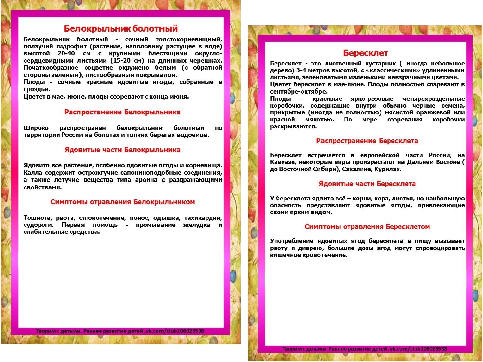 Презентация на тему "Ядовитые ягоды"