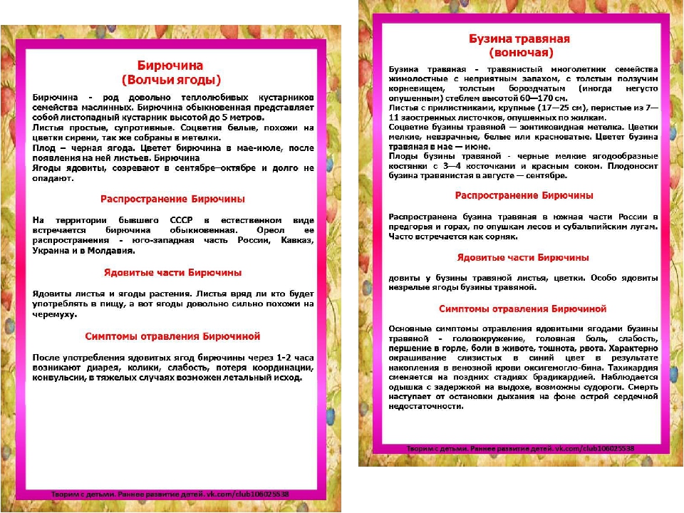 Презентация на тему "Ядовитые ягоды"