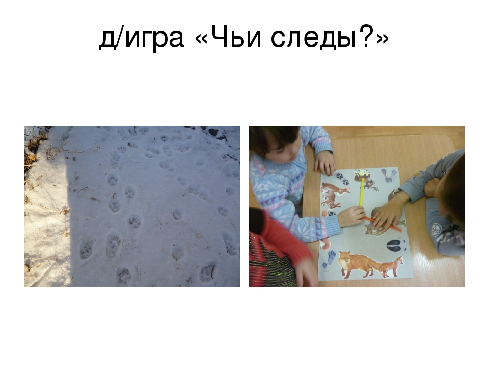 Зимушка-зима в гости к нам пришла