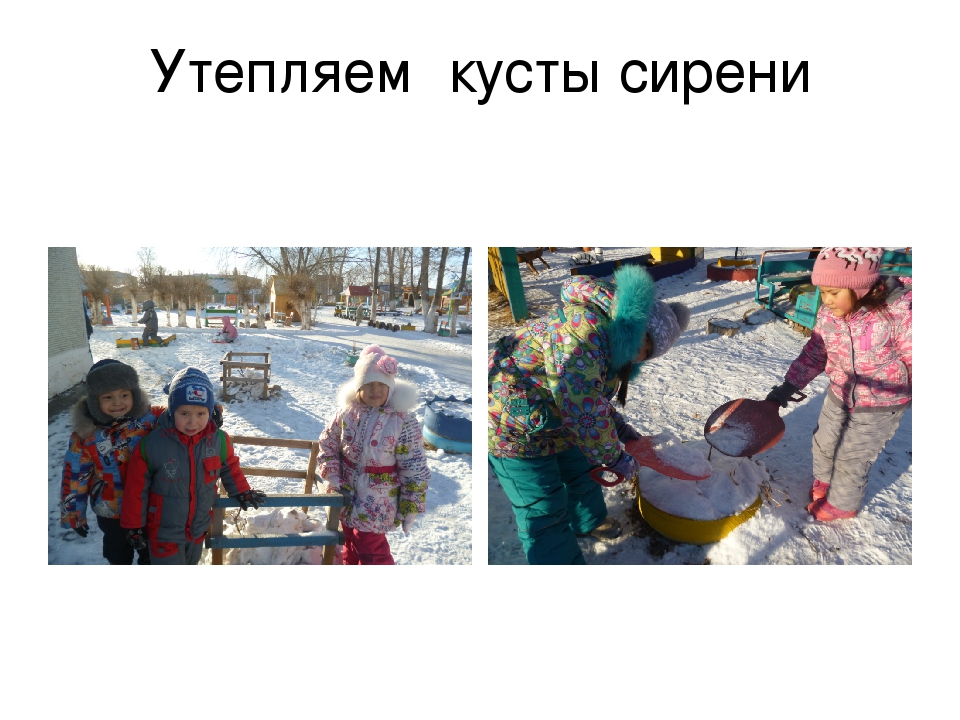 Зимушка-зима в гости к нам пришла