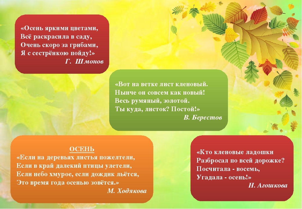 Осенние стихи для малышей: сборник стихов об осени для детей 2–3 лет