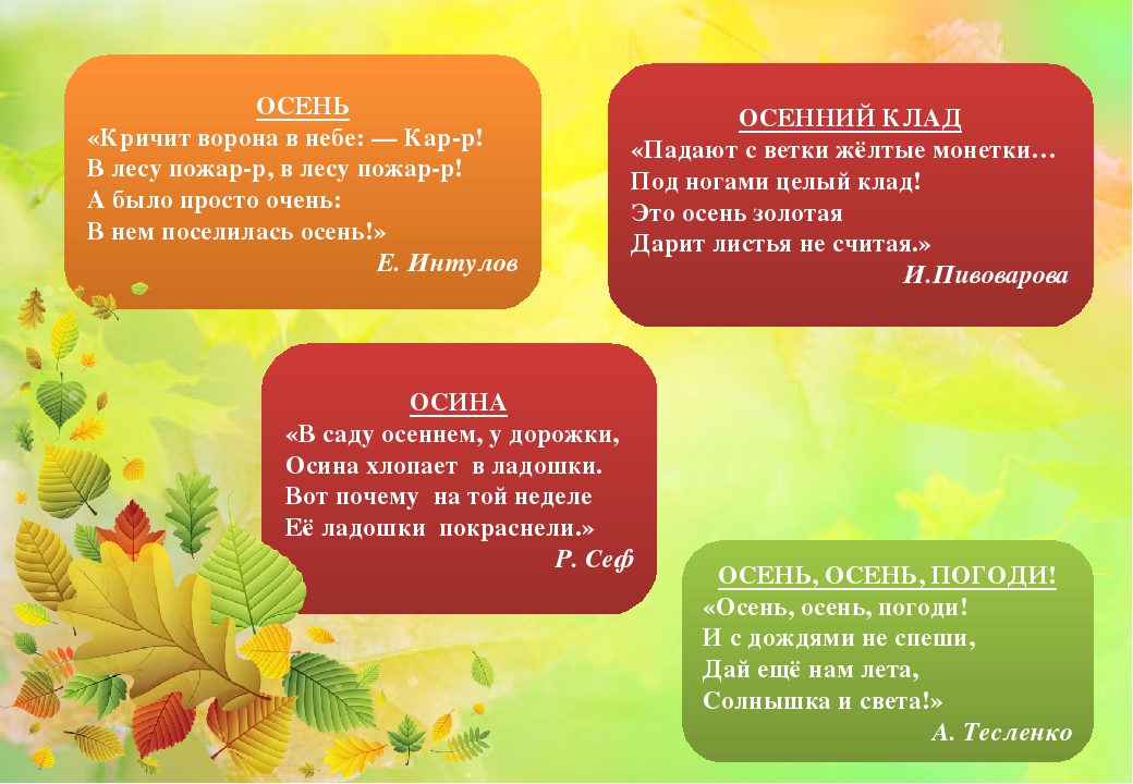 Осенние стихи для малышей: сборник стихов об осени для детей 2–3 лет