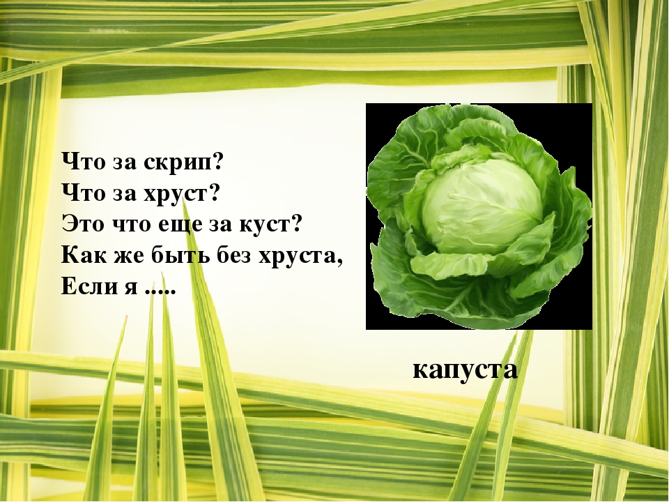 Презентация "Загадки про Осень"