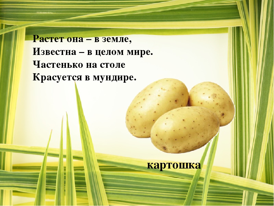 Презентация "Загадки про Осень"