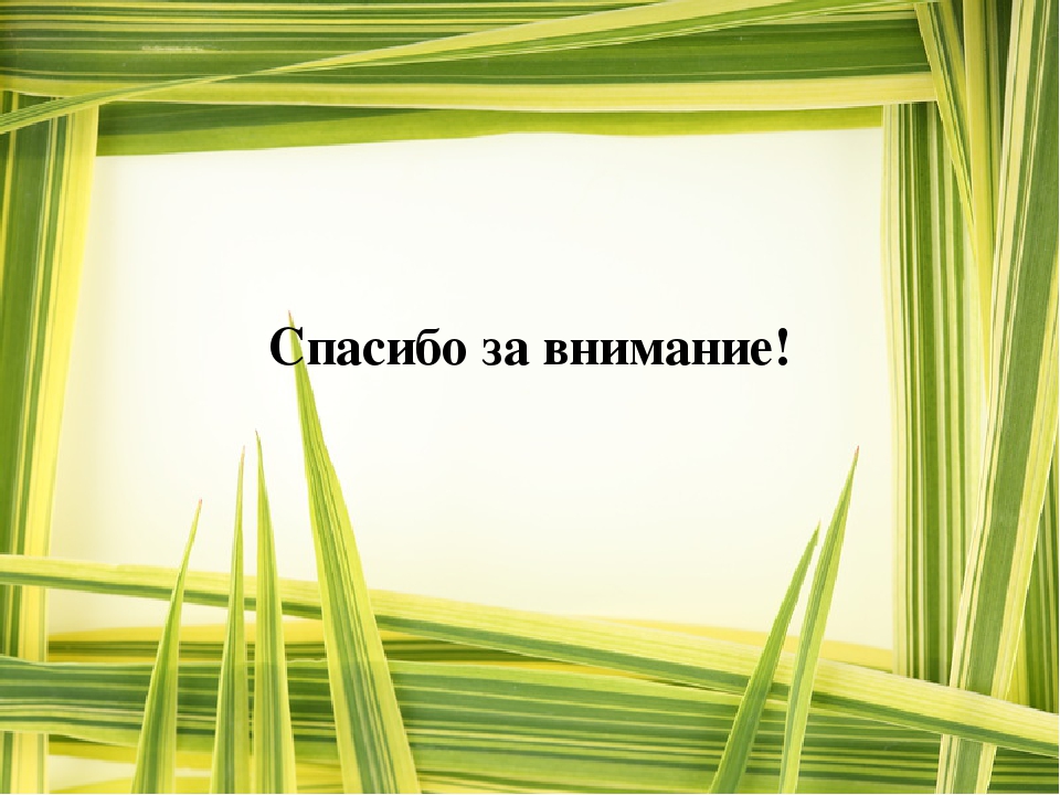 Презентация "Загадки про Осень"