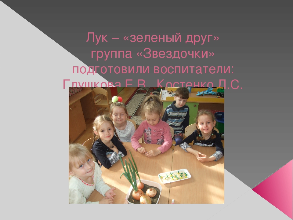 Урок, презентация, Опыт и эксперименты с луком