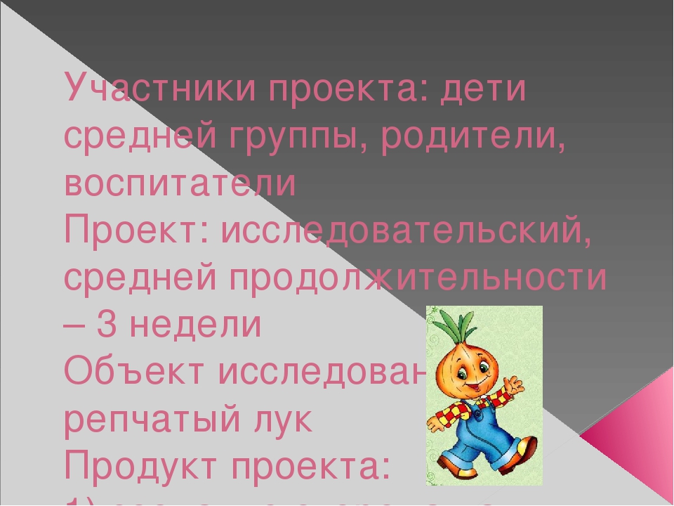 Урок, презентация, Опыт и эксперименты с луком