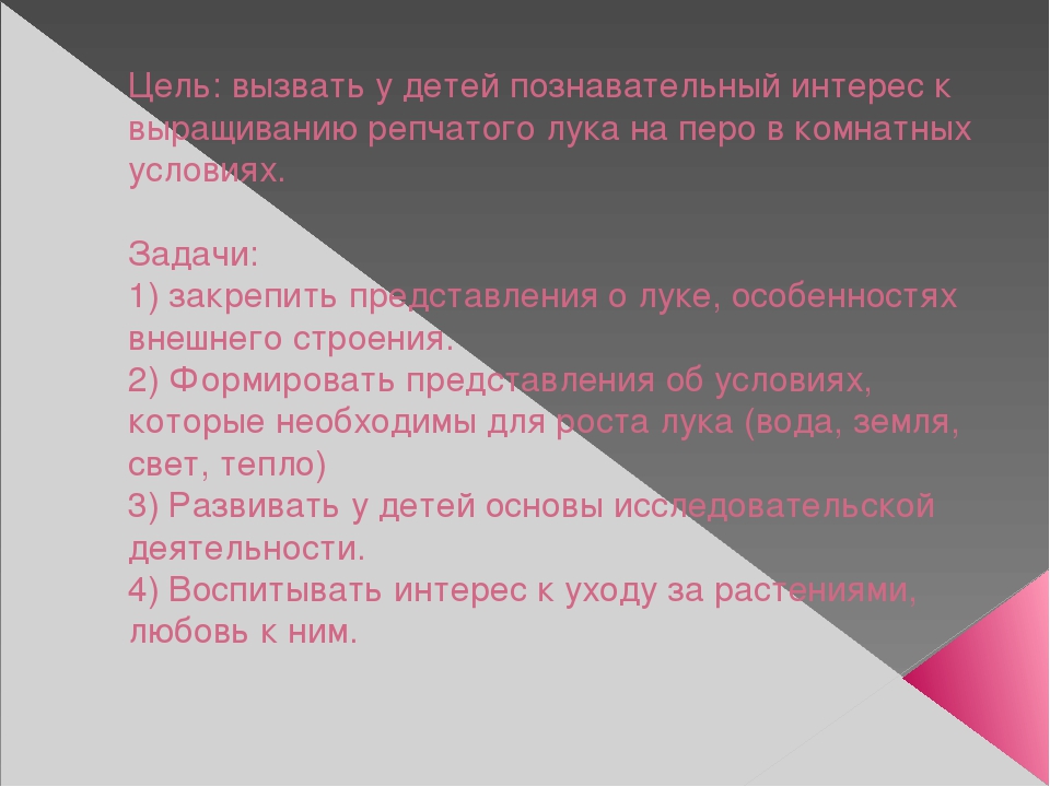 Урок, презентация, Опыт и эксперименты с луком