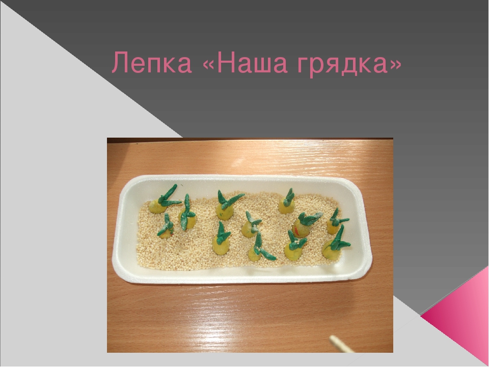 Урок, презентация, Опыт и эксперименты с луком