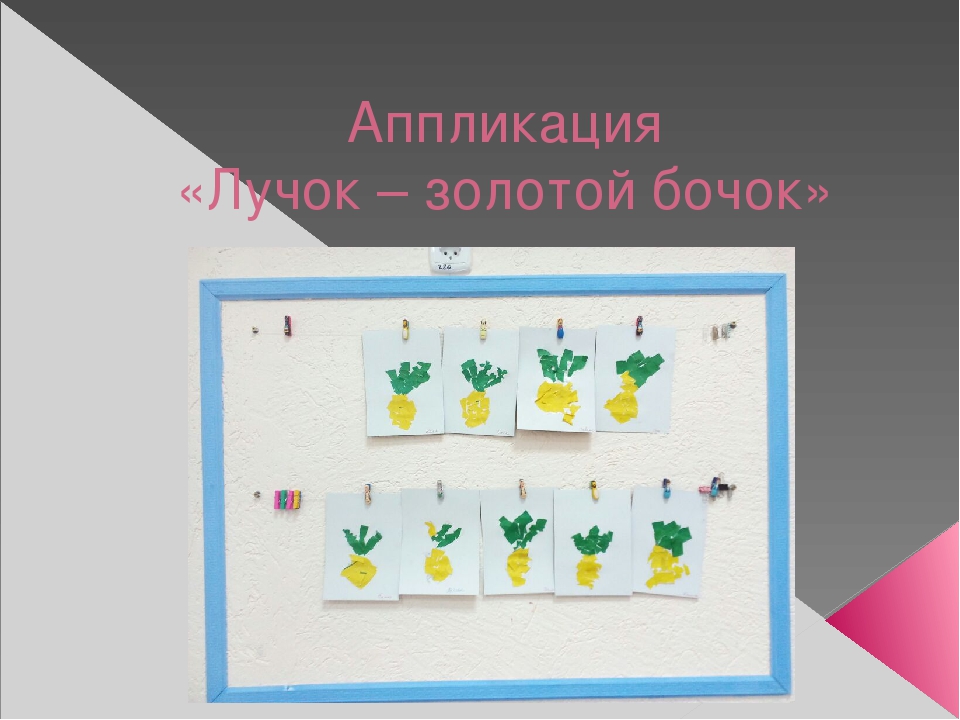 Урок, презентация, Опыт и эксперименты с луком