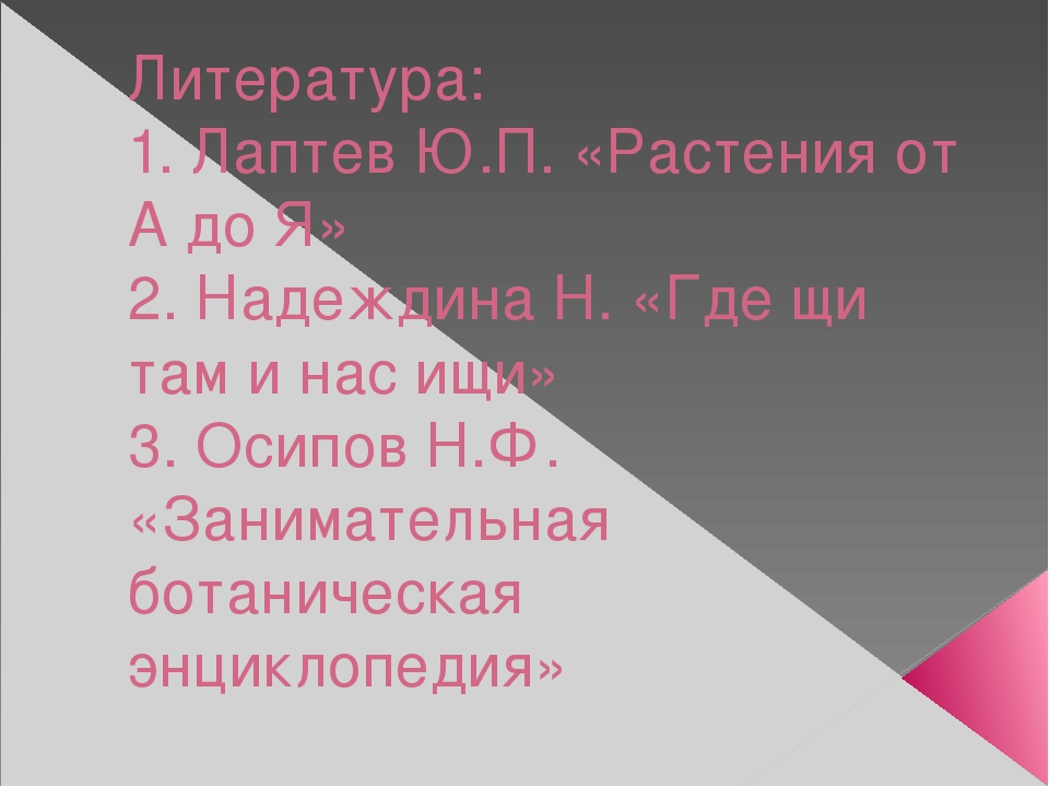 Урок, презентация, Опыт и эксперименты с луком